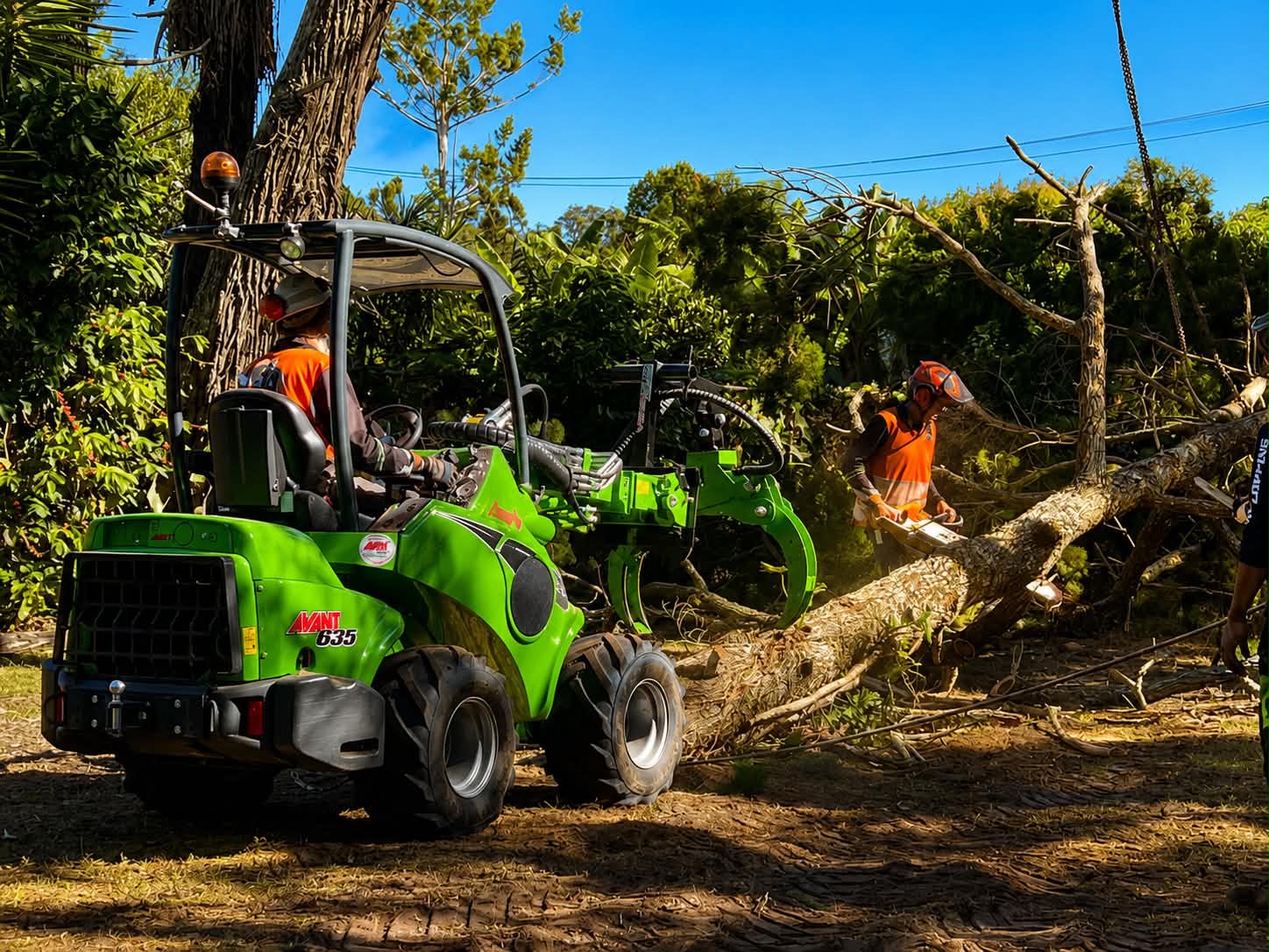 Avant loader clearing branches on site