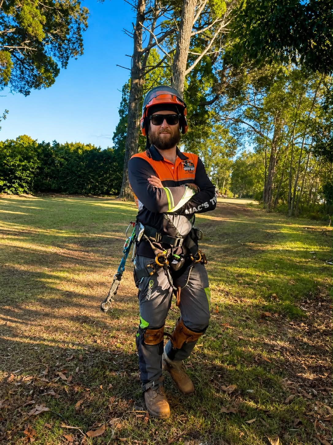 Mac's Tree Lopping arborist in climbing gear